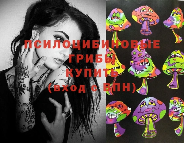крисы Арсеньев