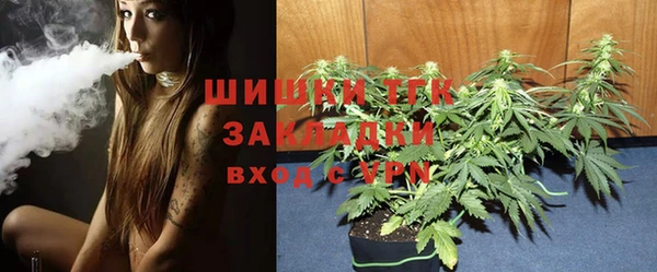 дмт Аркадак