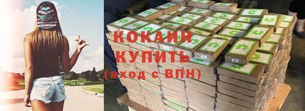 крисы Арсеньев