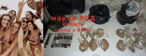 дмт Аркадак
