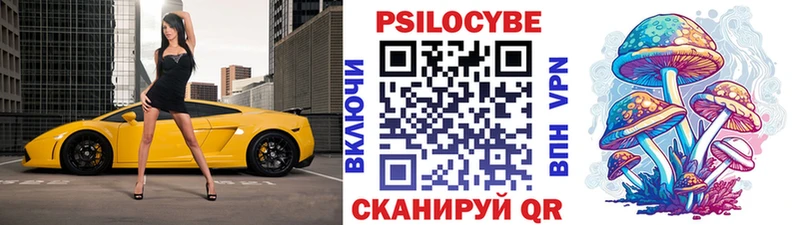 как найти закладки  Спасск-Дальний  Псилоцибиновые грибы мухоморы 